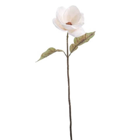 VARA MAGNOLIA *CREMA 6964-01