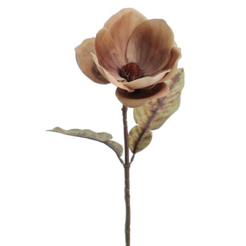 VARA MAGNOLIA *OCRE 6964-04