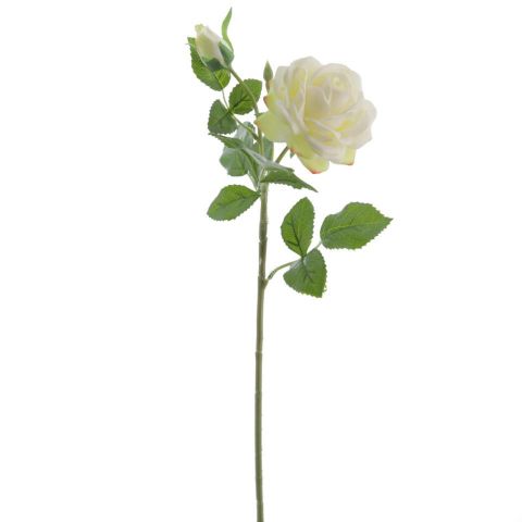 VARA ROSA X2 *CREMA 6978-01