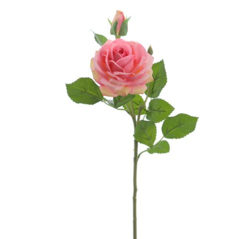 VARA ROSA X2 *ROSA 6978-12