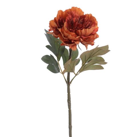 VARA PEONIA *OCRE 6965-04