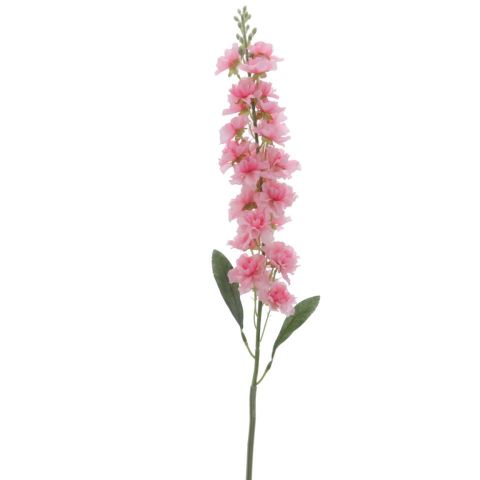 VARA DELPHINIUM *ROSA 4301-12