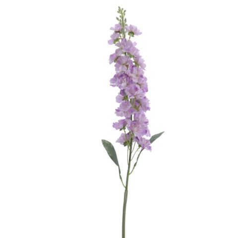 VARA DELPHINIUM *LILA 4301-25