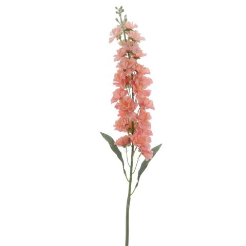 VARA DELPHINIUM *SALMON 4301-14