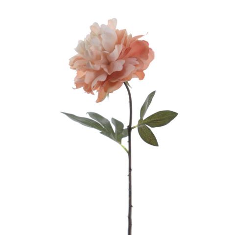 VARA PEONIA VINTAGE *SIENA 4734-51