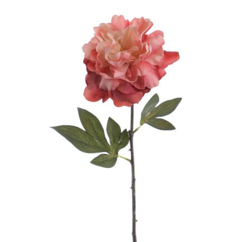 VARA PEONIA VINTAGE *CORAL 4734-24