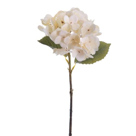 VARA HORTENSIA VINTAGE *BEIGE 2342-31