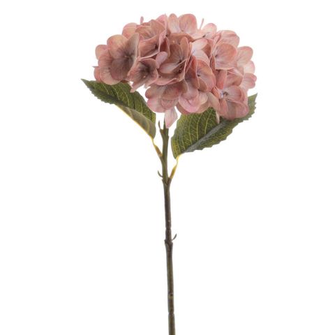 VARA HORTENSIA VINTAGE *CORAL 2342-24