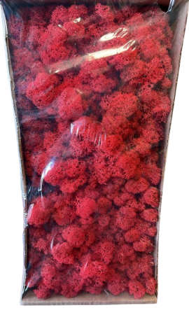 CAJA MUSGO PRESERVADO  420GR *ROJO 