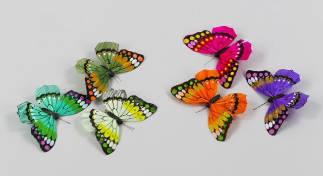 CLIP MARIPOSA 14CM 12UNDS *408880