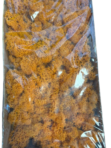 CAJA MUSGO PRESERVADO *NARANJA 420GR 406041/009