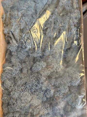 CAJA MUSGO PRESERVADO AZUL 420GR 406041/022