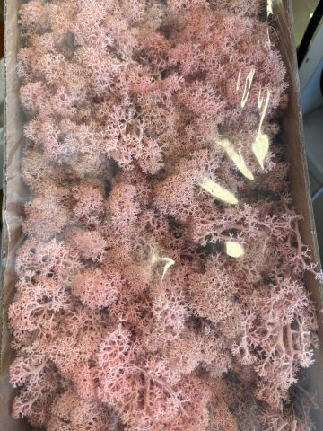 CAJA MUSGO PRESERVADO *ROSA 420GR 406041/004