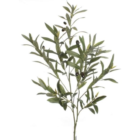 VARA OLIVO *VERDE 7689