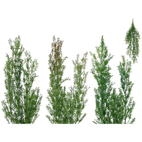 PLANTA COLGANTE TEA LEAF 80CM *439082