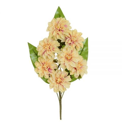 RAMO DALIA X8 *BEIGE *235110