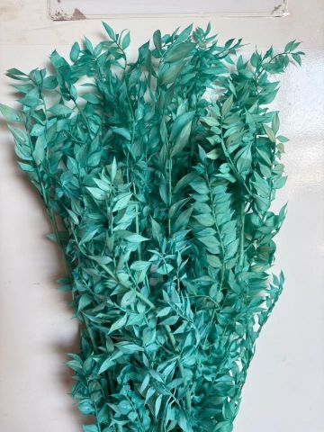 RUSCUS PRESS VERDE AGUA *000.022.75