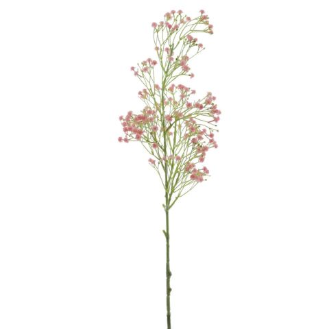 VARA GYPSOPHILA *ROSA 6914-12