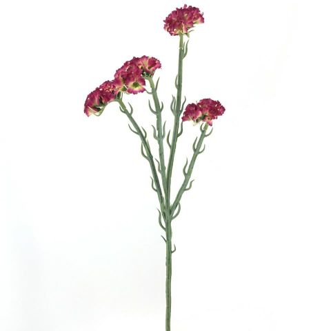 VARA STATIS *FUCSIA 2058-07