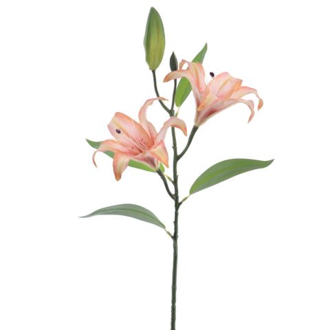 VARA LILIUM X2 *SALMON 6974-14