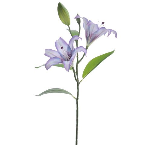 VARA LILIUM X2 *PURPURA 6974-16