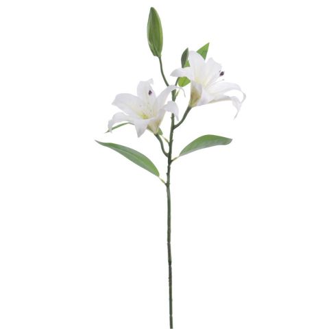 VARA LILIUM X2 *CREMA 6974-01