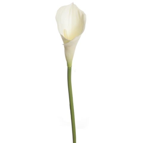 VARA CALAS *BLANCO 7687