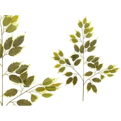 VARA HOJAS FICUS X42 -63CM *VERDE CLARO 268897