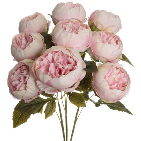 RAMO PEONIA X9 ROSA 5641