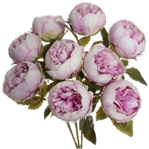 RAMO PEONIA X9 LILA 5641