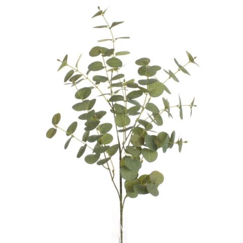 VARA EUCALIPTO *VERDE 7684