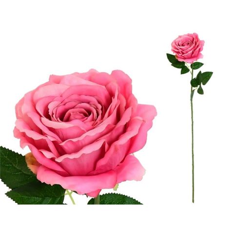 VARA ROSA CAROLINA -67 CM (ROSA) 73341