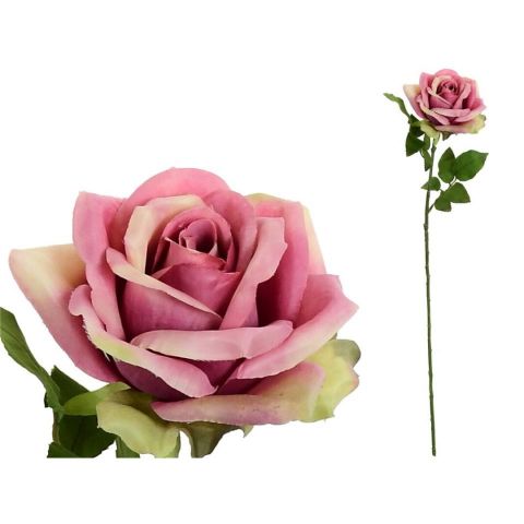 VARA ROSA OPEN (A)-68CM (FUCSIA) 74201