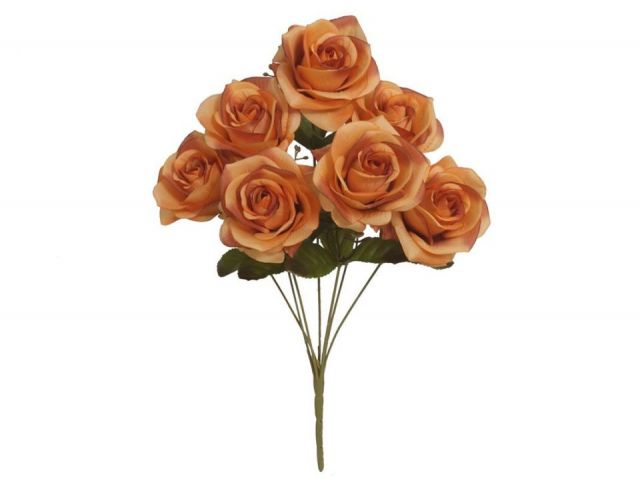 RAMO ROSAS AUTUMN X7 *TE 141107