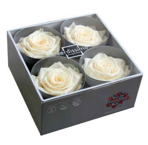 BOX 4 AMOROSA PREMIUM SIN TALLOS RSG/2020