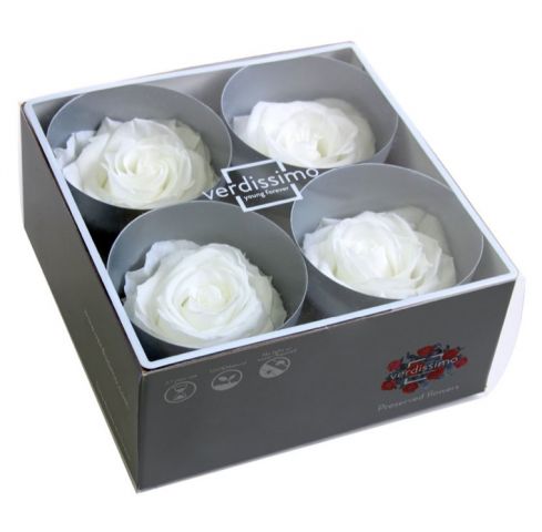 BOX 4 AMOROSA PREMIUM SIN TALLOS RSG/2000