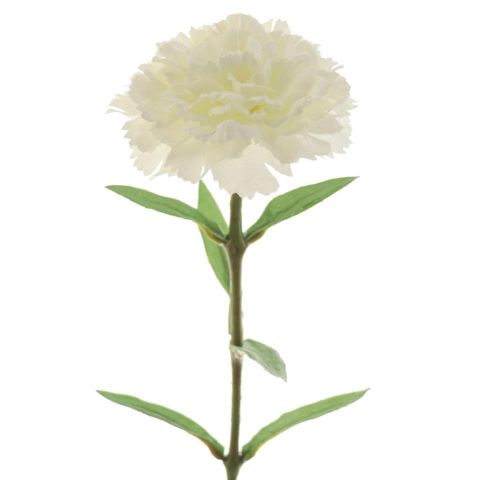 VARA CLAVEL*BLANCO 6117-01