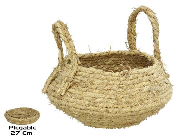 CESTP CON ASA NATURAL 27 CMS 424088