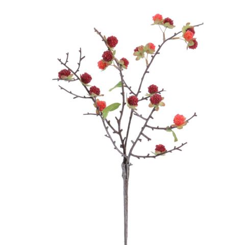 VARA GROSELLAS *ROJO 6017-08