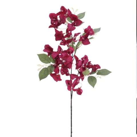 VARA BOUGANVILLEA *GRANATE  6275-77