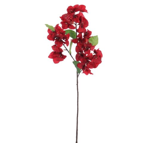 VARA BOUGANVILLEA *ROJO 6253-08