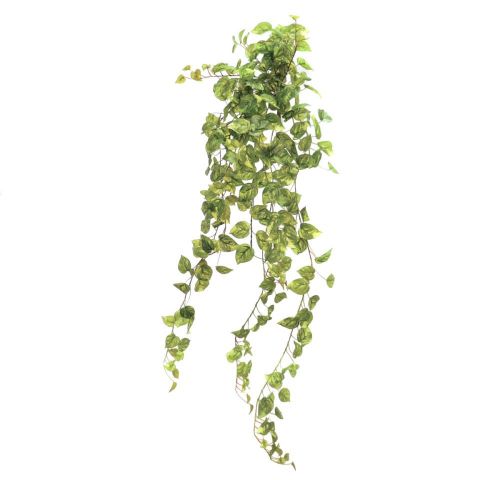 COLGANTE POTHOS 130CM *VERDE 4022-09