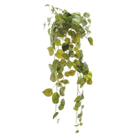 COLGANTE POTHOS 100CM *4924-09