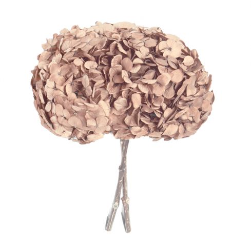 HORTENSIA PRESERVADA *TIERRA HRT/0910