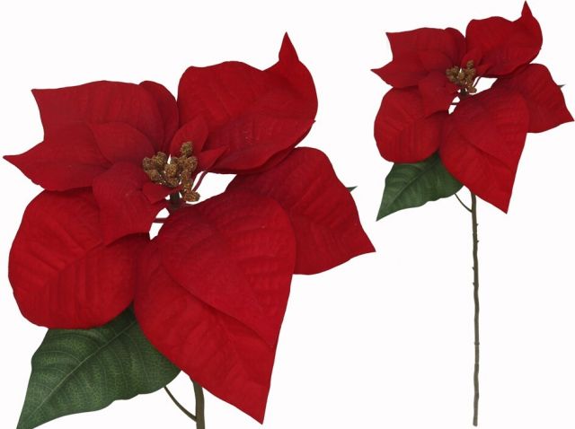 VARA POINSETTIA 61H X 28D CM (ROJA) 80509