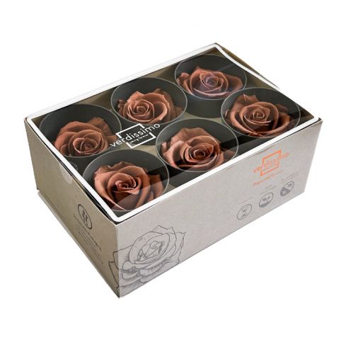 BOX 6 ROSAS PRESERVADA *MOCHA *RST/2CY1