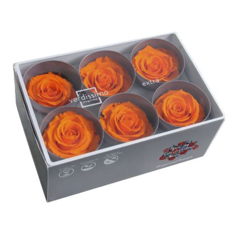BOX 6 ROSAS PRESERVADA *NARANJA *RST/2530