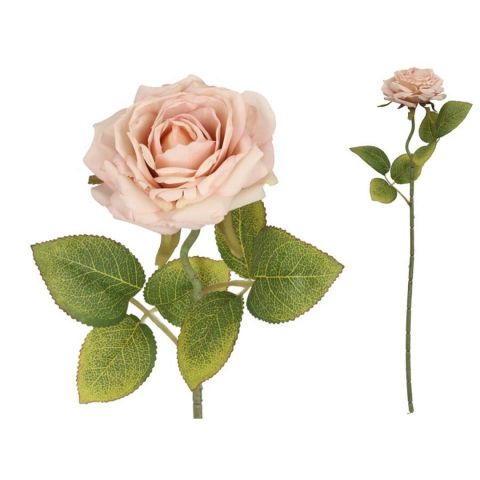 VARA ROSA DRIED 50CM *565712