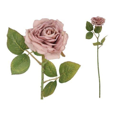 VARA ROSA DRIED 50CM *VIOLETA 565729