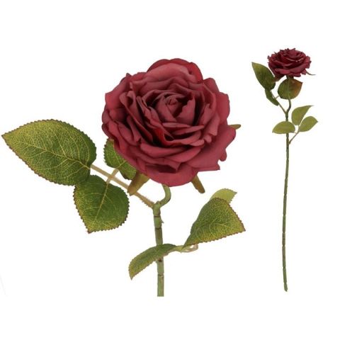 VARA ROSAS DRIED 50CM *ROJO 565705